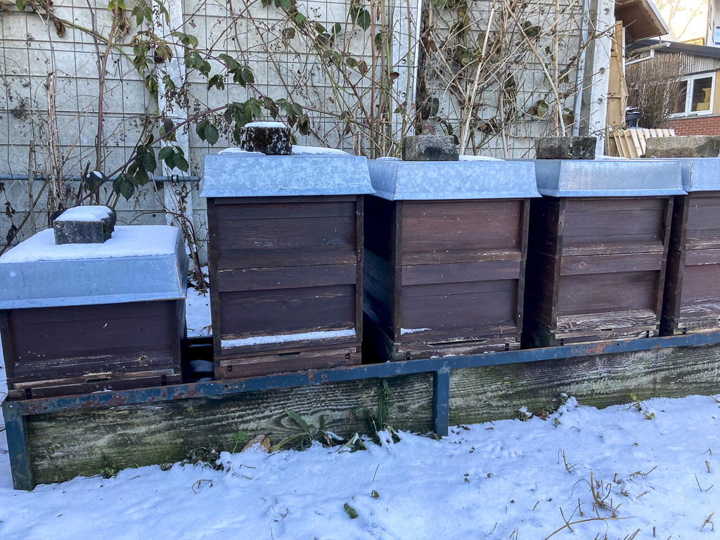 Bienenstock im Winter